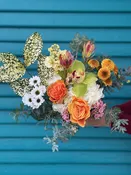 Four Seasonal Drop-in Bouquets, including delivery in CHICO