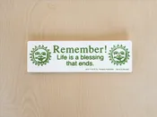 Bumper Sticker — Mother Co., Plants
