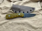 EDC Paleo knife — 307 Forge
