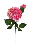 #024152CRK – 24″ Dahlia, Stem x2 {Pink}