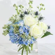 Blue and White