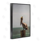 Aaron Matheson | Nautical Landscape Pelican Wall Art
