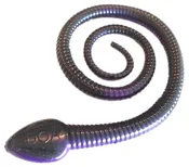 12" Sna-Koil