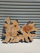 Olive Crosscut - 06110 — Cali Hardwoods & Supplies