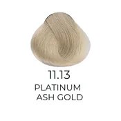 ALFAPARF MILANO Evolution of The Hair Color, 2.05oz – 11.13 – Platinum – Ash Golden Platinum