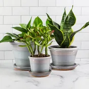 8" Planter-