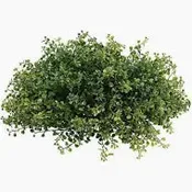 11" Greenery half sphere
