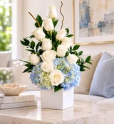 C2048 - Little Blue Blessing