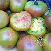 Ananas Noir (Black Pineapple)