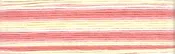 Cosmo Seasons Embroidery Floss - 8007