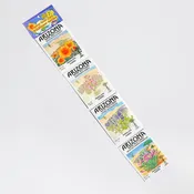 Arizona Wildflowers Strip