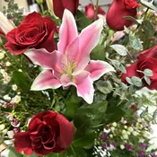 GRACE AND LOVE