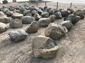 BLACK & GOLD BOULDERS