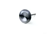 Titanium Engine Valves
