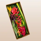 Amazon Tropical Flower Combo Box | Fresh Tropical Flowers from Ecuador
