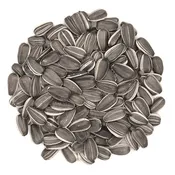 Sunflower Bird Seed, 6x9 bag