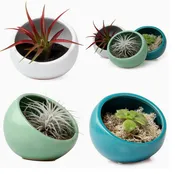 Half Moon Indoor Plant Pot For Succulents