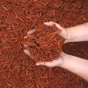 Russet Red Mulch