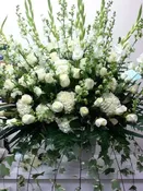 B3 — All Season Florist & Gifts 四季花舖