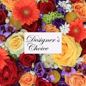 Designer Choice