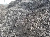 Bulk Planting Mix