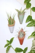 Mini Magnet Wall Planter Set