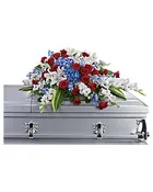 Distinguished Service Casket Cover (P103)