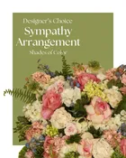Designer's Choice - Colorful Arrangement