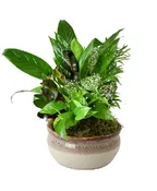 10" CERAMIC GARDEN
