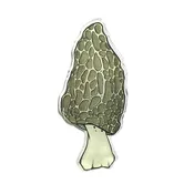Acrylic Pin - Morel Mushroom by World of Whimm
