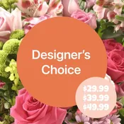 Designer's Choice: $29.99-$49.99