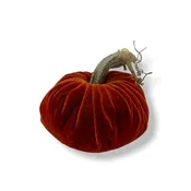 Velvet Pumpkin Bittersweet