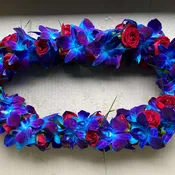 Leis #19