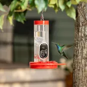 LED Smart Hummingbird Feeder with Camera