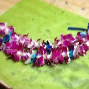 Leis #1