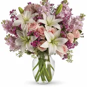 Blossoming Romance