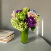 Vibrant Charm – Hydrangea Arrangement in a Vase