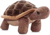 9" Wild Onez Tortoise