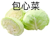 包心菜