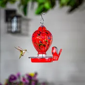 Solar Smart Hummingbird Feeder with HD Camera