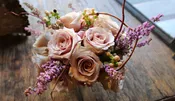 "Blush Daydream – A Wild Garden-Inspired Rose Arrangement" — IXIA