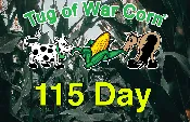 115 day Conventional Corn