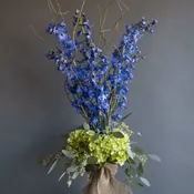 Blue & Green