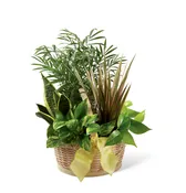The FTD® French Garden™