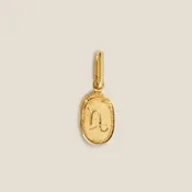 Zodiac Charm
