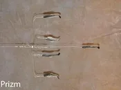 4 Arm 4" Shad