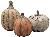 Thumbprint, Teardop and Leafy Pumpkins | Isabel Bloom