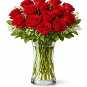 1 Dozen Red Roses