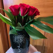 Modern Roses (6)