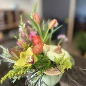 Designers Choice- Sage Pumpkin